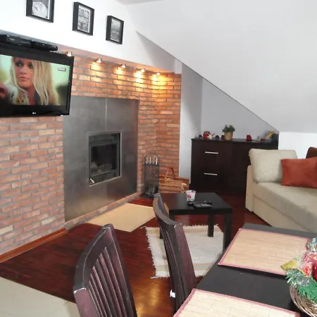 Apartment Paryski